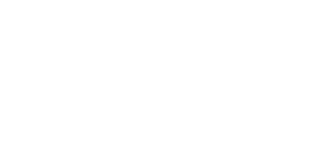 PHOENIX ASSET INVESTMENT Logo